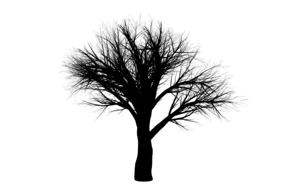 Botany Tree Black for Creative Projects