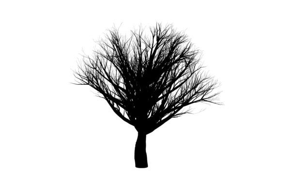 Botany Tree Clipart: A Versatile Tool for Designers and Creators