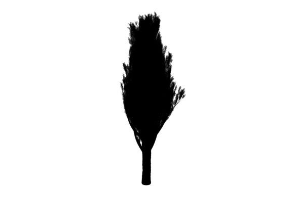 Floral Tree Artwork
