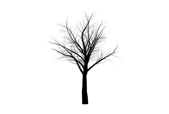 Forest Tree Draw for Creative Projects