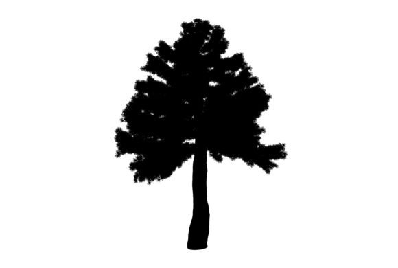 Isolated Tree Art: A Versatile Design Element for Creative Projects