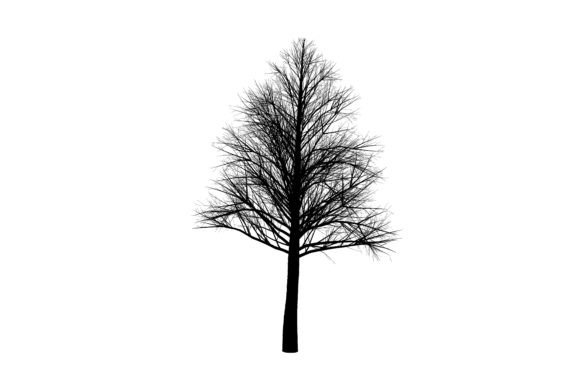 Natural Silhouette Art for Creative Projects