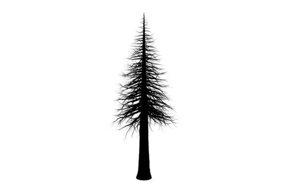 Pine Tree Silhouette Art