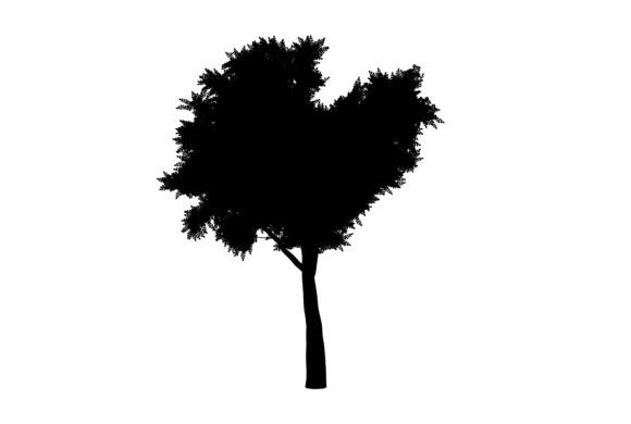 Season Tree Clipart for Creative Projects