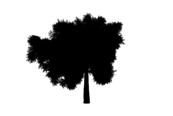 Tree Drawing Silhouette